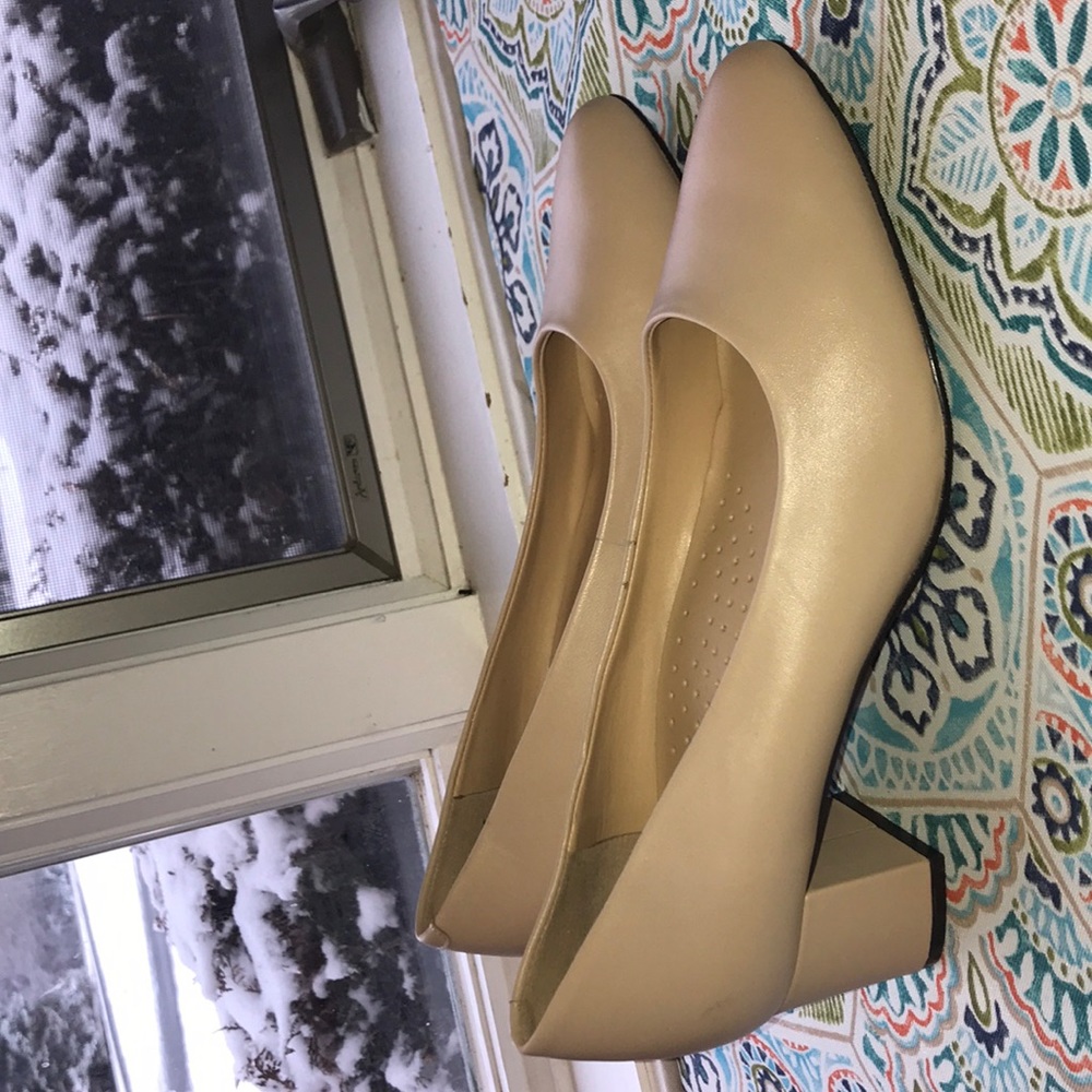 Trotter Nude Pumps